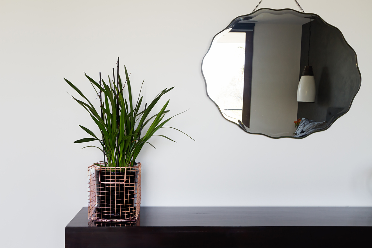 wire basket with a leafy plant next to a mirror